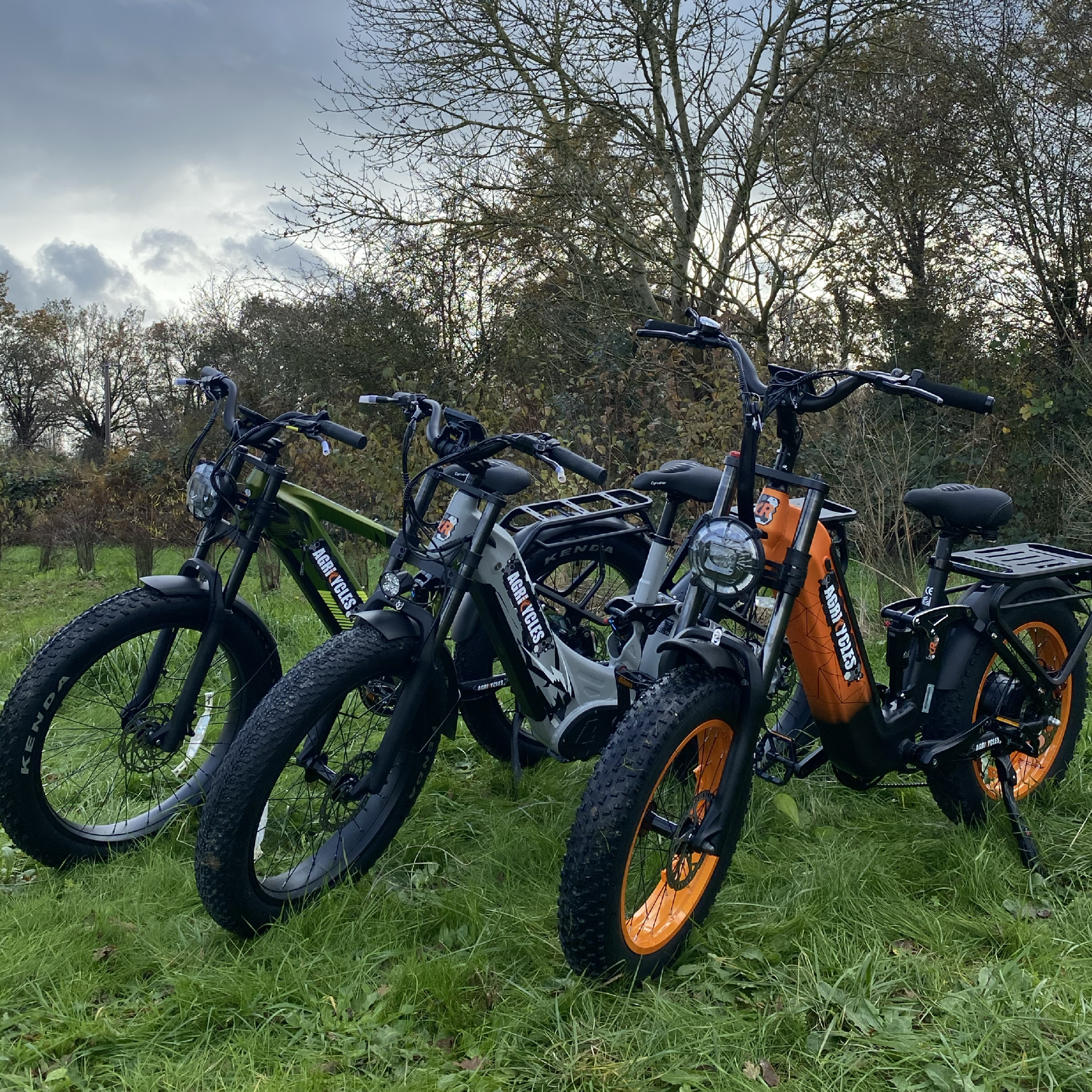 Les trois modèles de vélos électriques