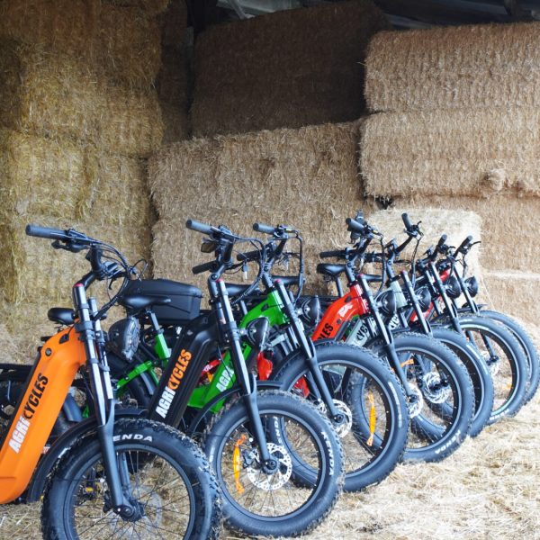 IMG_ENSEMBLE GAMME_2026_FERME_7