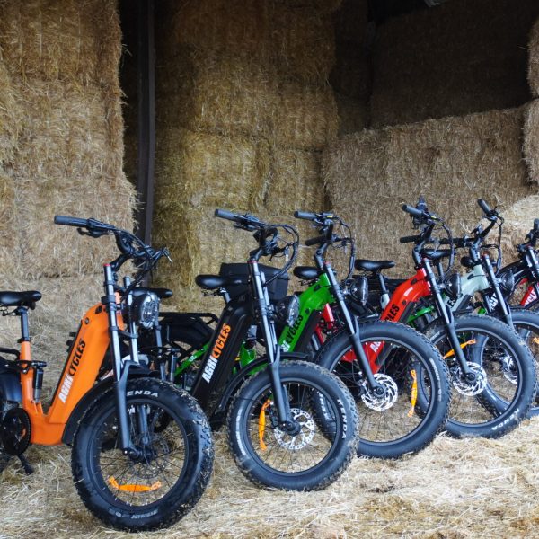 IMG_GAMME 2026_ENSEMBLE GAMME_FERME_2